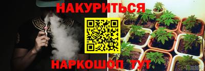apvp Будённовск