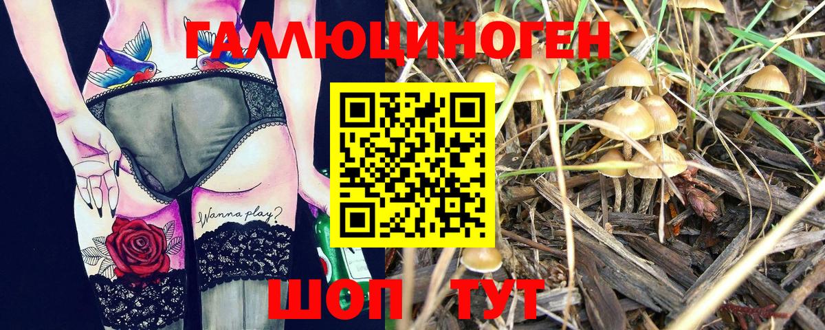 Галлюциногенные грибы мицелий Великий Новгород