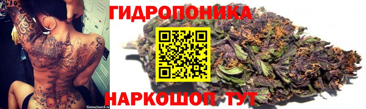Канабис сатива  Вход с VPN  Марихуана LSD WEED  Конопля LSD WEED  Великий Новгород 